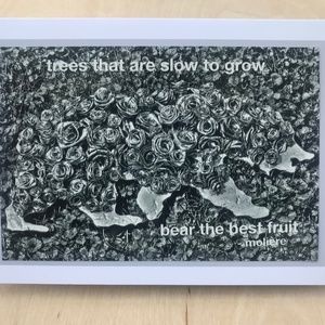 trees that are slow to grow bear the best fruit patience quote greeting card